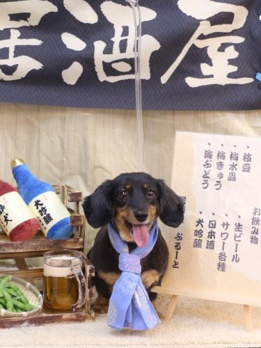 20240620モカちゃん